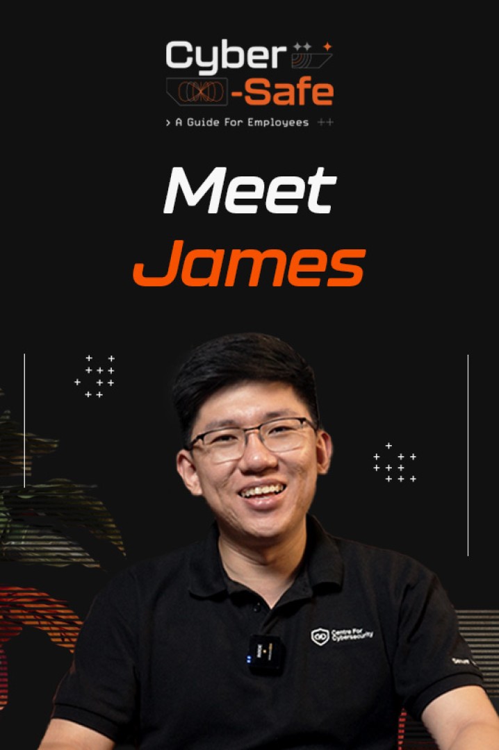 Meet the fantastic trio! cover image