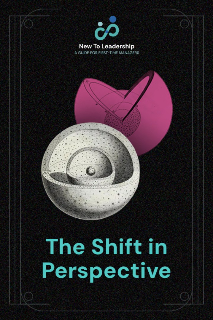 The managerial leap cover image