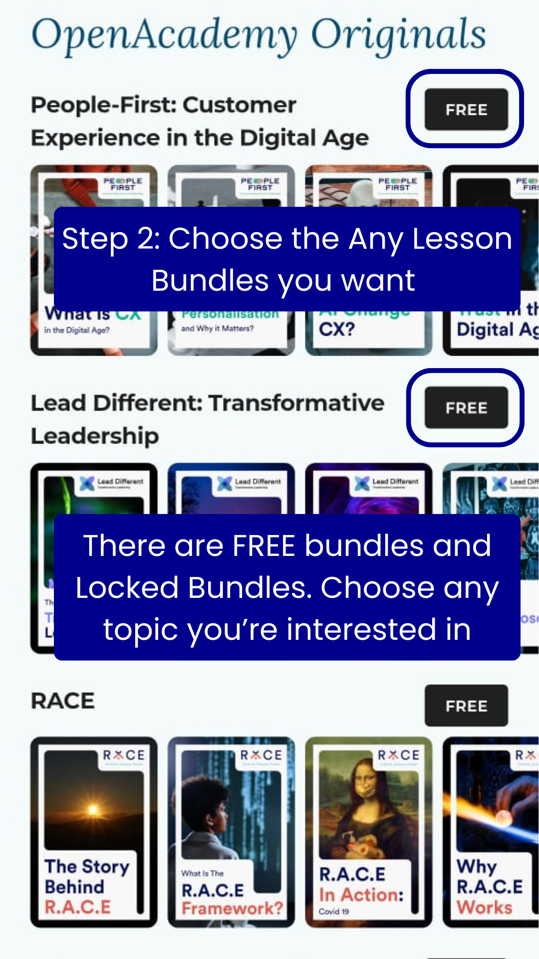 How To Access Bundle Step