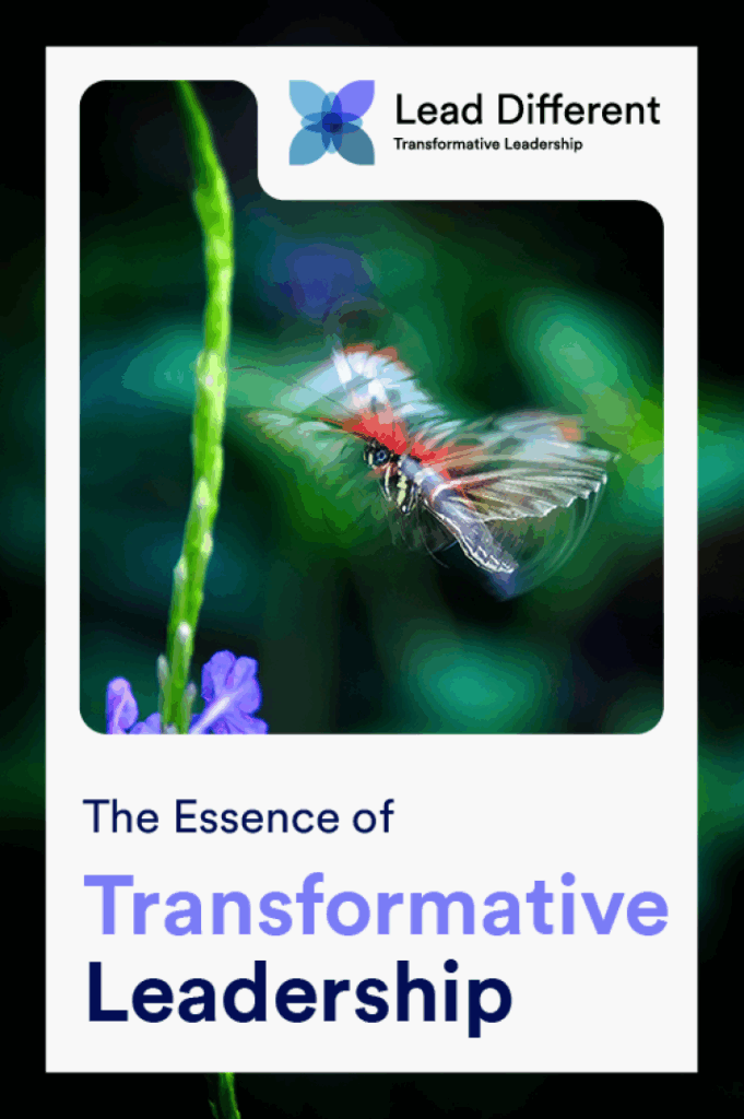 Lead Different: Transformative Leadership Cover Image